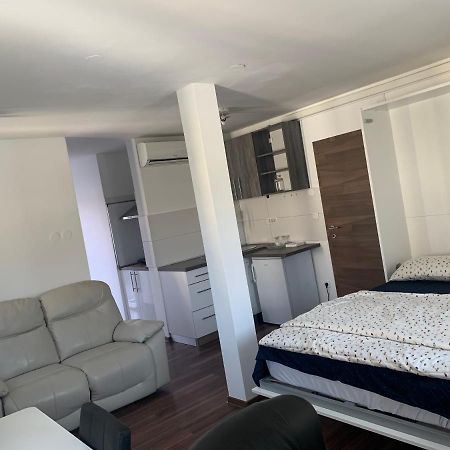Prijetno Stanovanje Z Lastnim Parkiriscem. Samo 3 Km Od Centra Ljubljane. Любляна Екстериор снимка